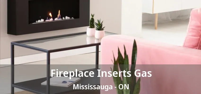 Fireplace Inserts Gas Mississauga - ON Fireplace Inserts Gas Mississauga - ON