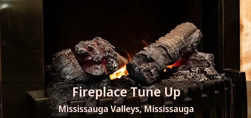 Fireplace Tune Up Mississauga Valleys, Mississauga - ON Fireplace Tune Up Mississauga Valleys, Mississauga - ON