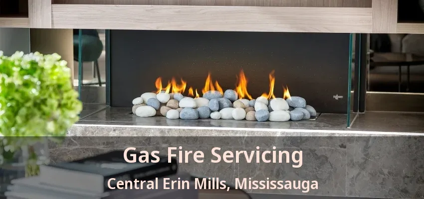 Gas Fire Servicing Central Erin Mills, Mississauga - ON Gas Fire Servicing Central Erin Mills, Mississauga - ON