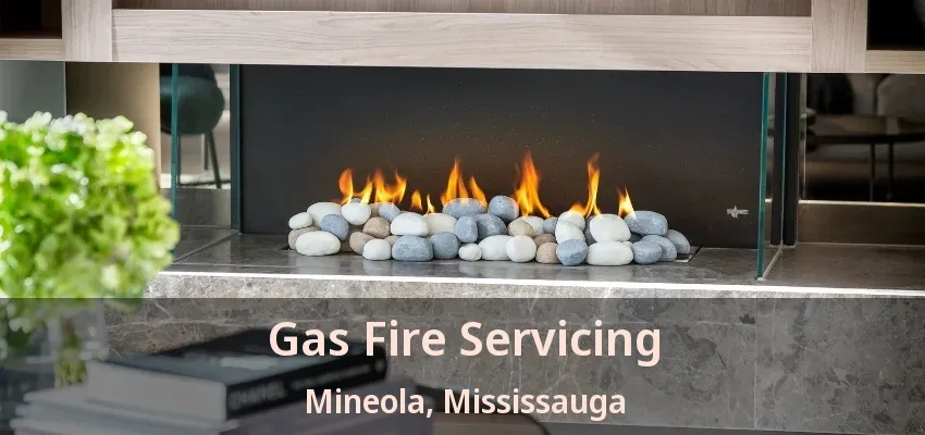 Gas Fire Servicing Mineola, Mississauga - ON Gas Fire Servicing Mineola, Mississauga - ON