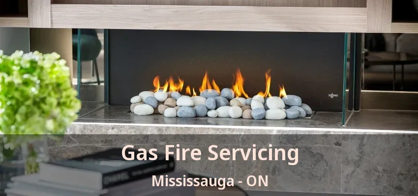 Gas Fire Servicing Mississauga - ON Gas Fire Servicing Mississauga - ON