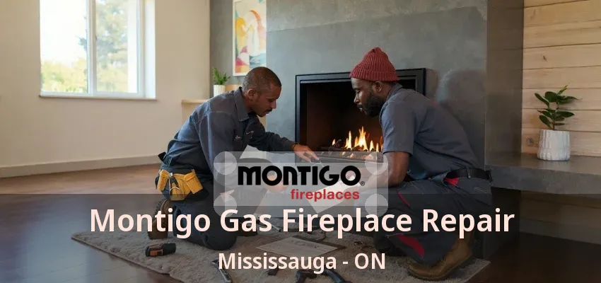 Montigo Gas Fireplace Repair Mississauga - ON