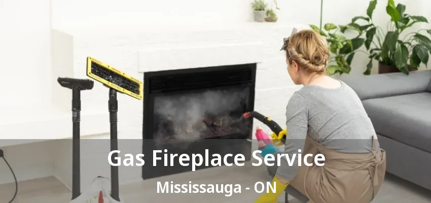 Gas Fireplace Service Mississauga - ON Gas Fireplace Service Mississauga - ON