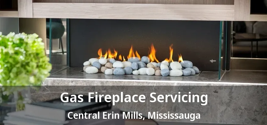 Gas Fireplace Servicing Central Erin Mills, Mississauga - ON