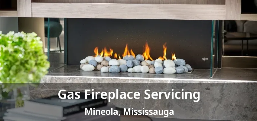 Gas Fireplace Servicing Mineola, Mississauga - ON Gas Fireplace Servicing Mineola, Mississauga - ON