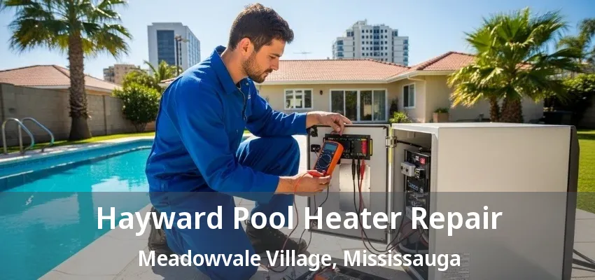 Hayward Pool Heater Repair Meadowvale Village, Mississauga - ON