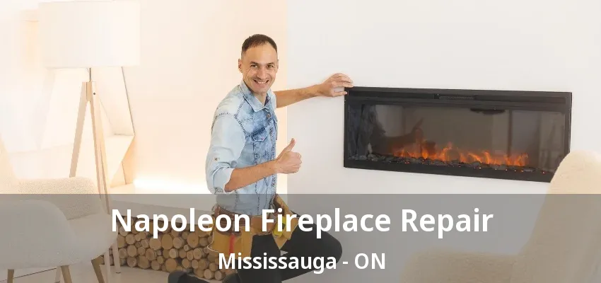 Napoleon Fireplace Repair Mississauga - ON