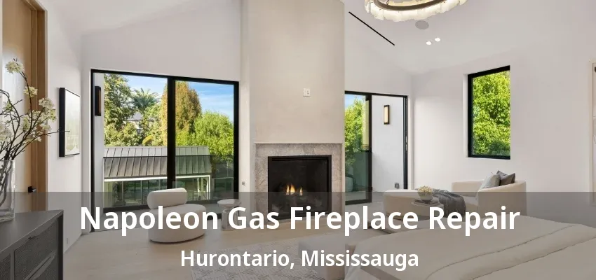 Napoleon Gas Fireplace Repair Hurontario, Mississauga - ON Napoleon Gas Fireplace Repair Hurontario, Mississauga - ON