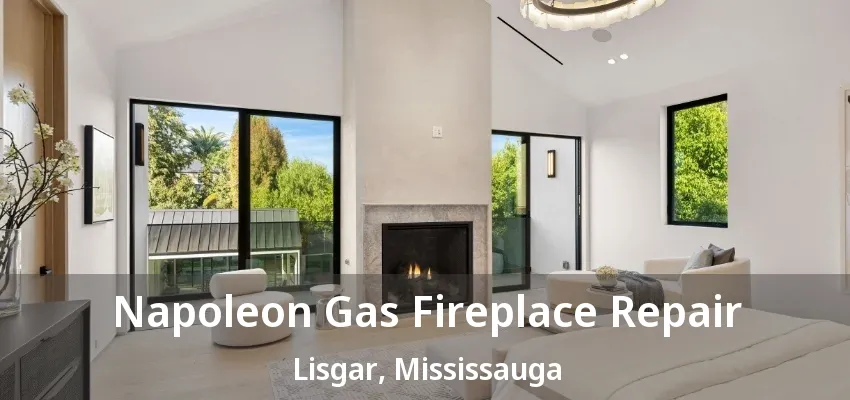 Napoleon Gas Fireplace Repair Lisgar, Mississauga - ON
