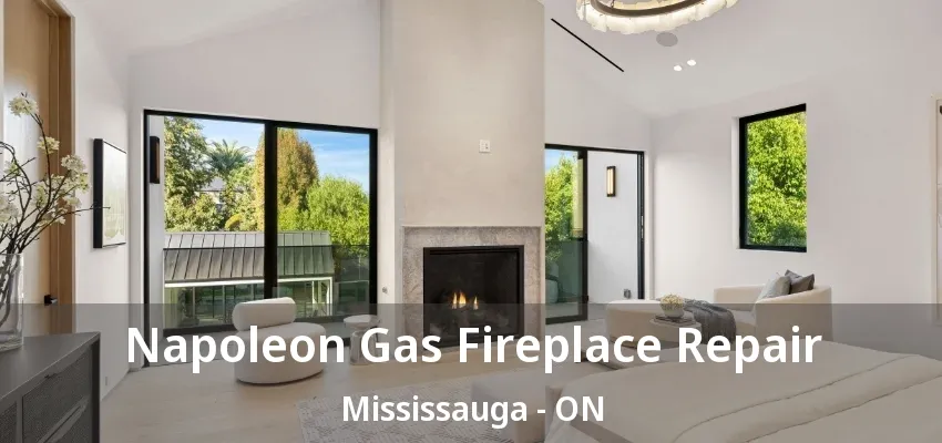 Napoleon Gas Fireplace Repair Mississauga - ON Napoleon Gas Fireplace Repair Mississauga - ON