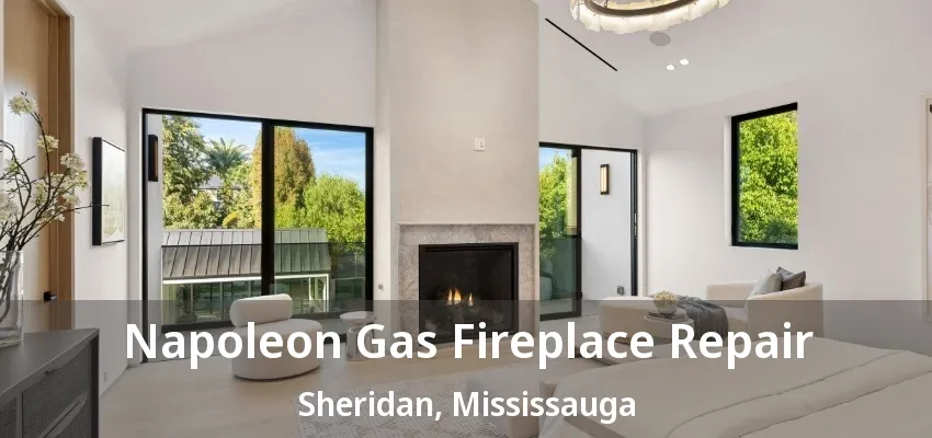 Napoleon Gas Fireplace Repair Sheridan, Mississauga - ON Napoleon Gas Fireplace Repair Sheridan, Mississauga - ON