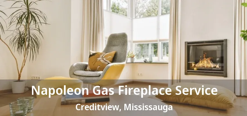 Napoleon Gas Fireplace Service Creditview, Mississauga - ON Napoleon Gas Fireplace Service Creditview, Mississauga - ON