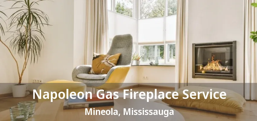 Napoleon Gas Fireplace Service Mineola, Mississauga - ON Napoleon Gas Fireplace Service Mineola, Mississauga - ON