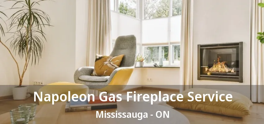 Napoleon Gas Fireplace Service Mississauga - ON Napoleon Gas Fireplace Service Mississauga - ON