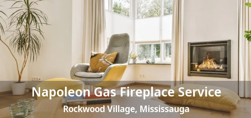 Napoleon Gas Fireplace Service Rockwood Village, Mississauga - ON