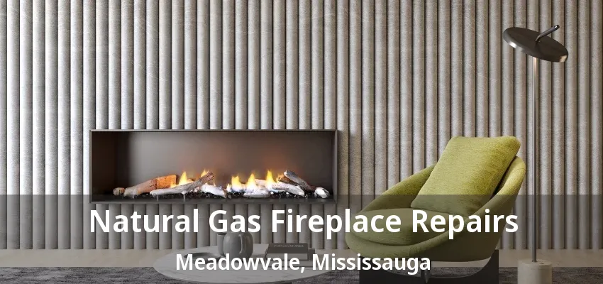 Natural Gas Fireplace Repairs Meadowvale, Mississauga - ON