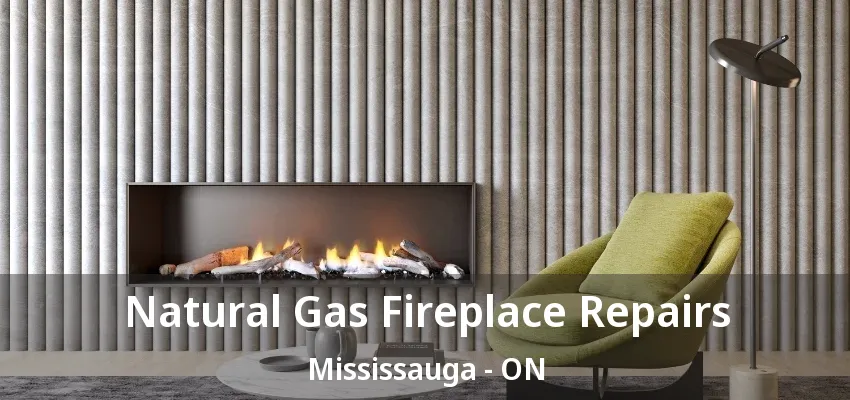 Natural Gas Fireplace Repairs Mississauga - ON Natural Gas Fireplace Repairs Mississauga - ON