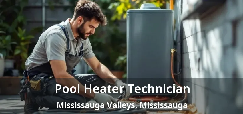 Pool Heater Technician Mississauga Valleys, Mississauga - ON Pool Heater Technician Mississauga Valleys, Mississauga - ON