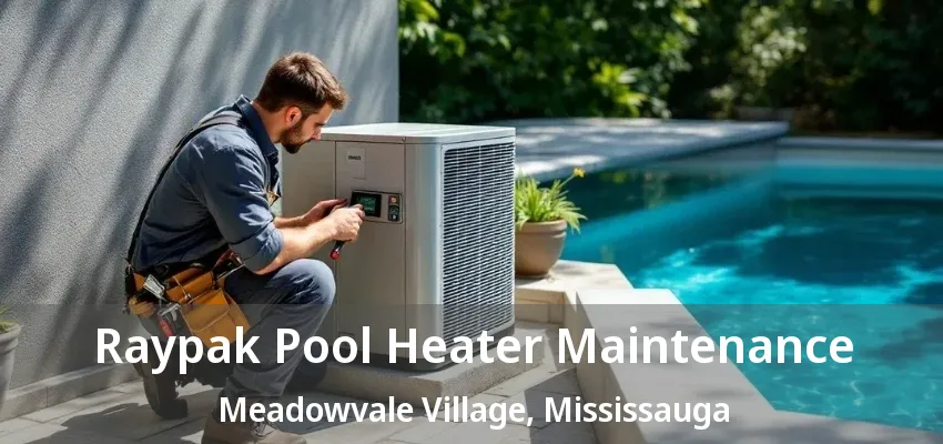 Raypak Pool Heater Maintenance Meadowvale Village, Mississauga - ON