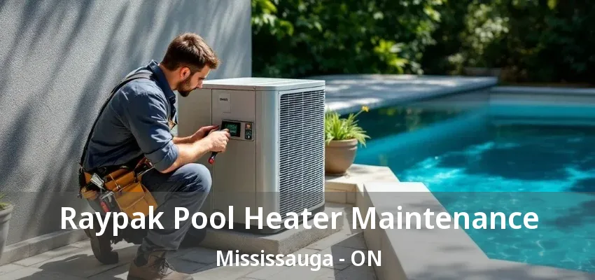 Raypak Pool Heater Maintenance Mississauga - ON Raypak Pool Heater Maintenance Mississauga - ON