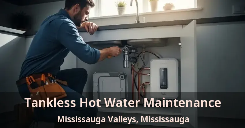Tankless Hot Water Maintenance Mississauga Valleys, Mississauga - ON Tankless Hot Water Maintenance Mississauga Valleys, Mississauga - ON