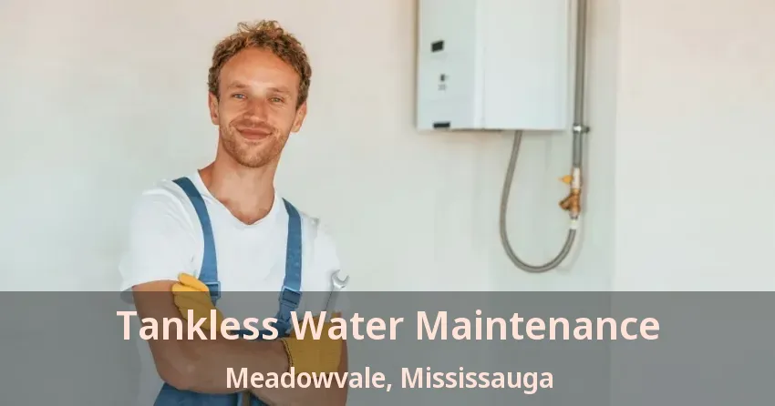 Tankless Water Maintenance Meadowvale, Mississauga - ON Tankless Water Maintenance Meadowvale, Mississauga - ON