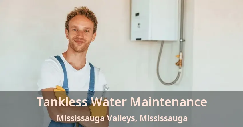 Tankless Water Maintenance Mississauga Valleys, Mississauga - ON Tankless Water Maintenance Mississauga Valleys, Mississauga - ON