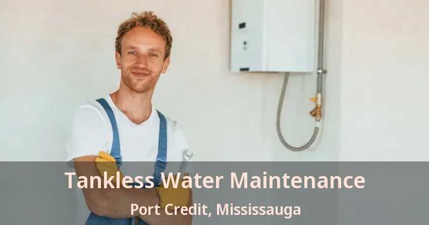 Tankless Water Maintenance Port Credit, Mississauga - ON Tankless Water Maintenance Port Credit, Mississauga - ON