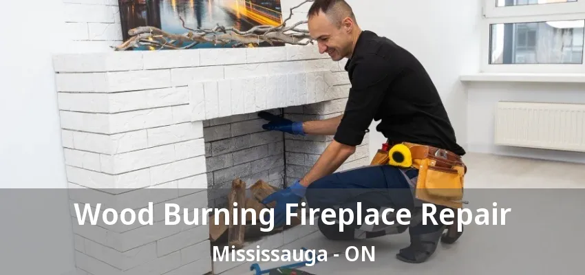 Wood Burning Fireplace Repair Mississauga - ON